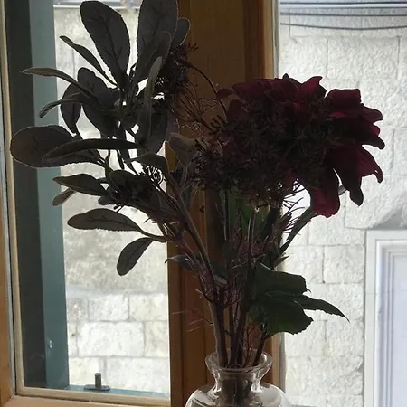 Appartement Cosmijeva Luxury Split